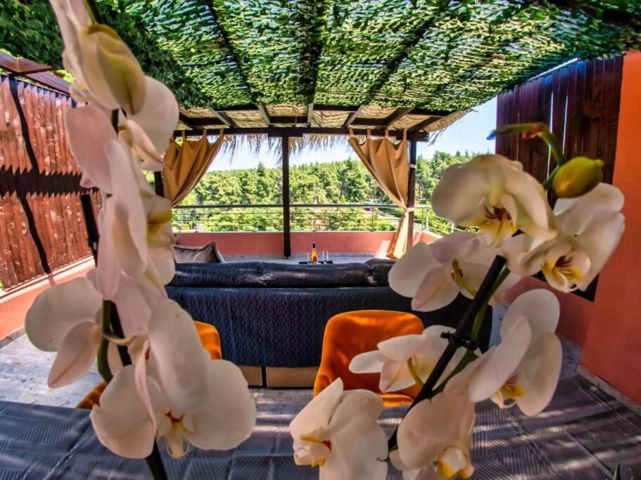 Deluxe Sani Relax Villa Buitenkant foto